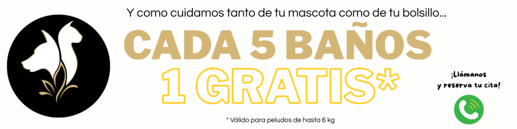 Baño gratis peluquería canina en Madrid