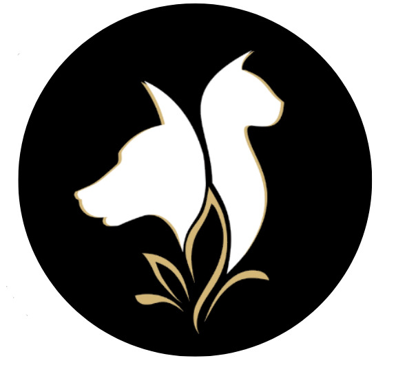 Peluquería canina y felina en Madrid – Luciana Vera