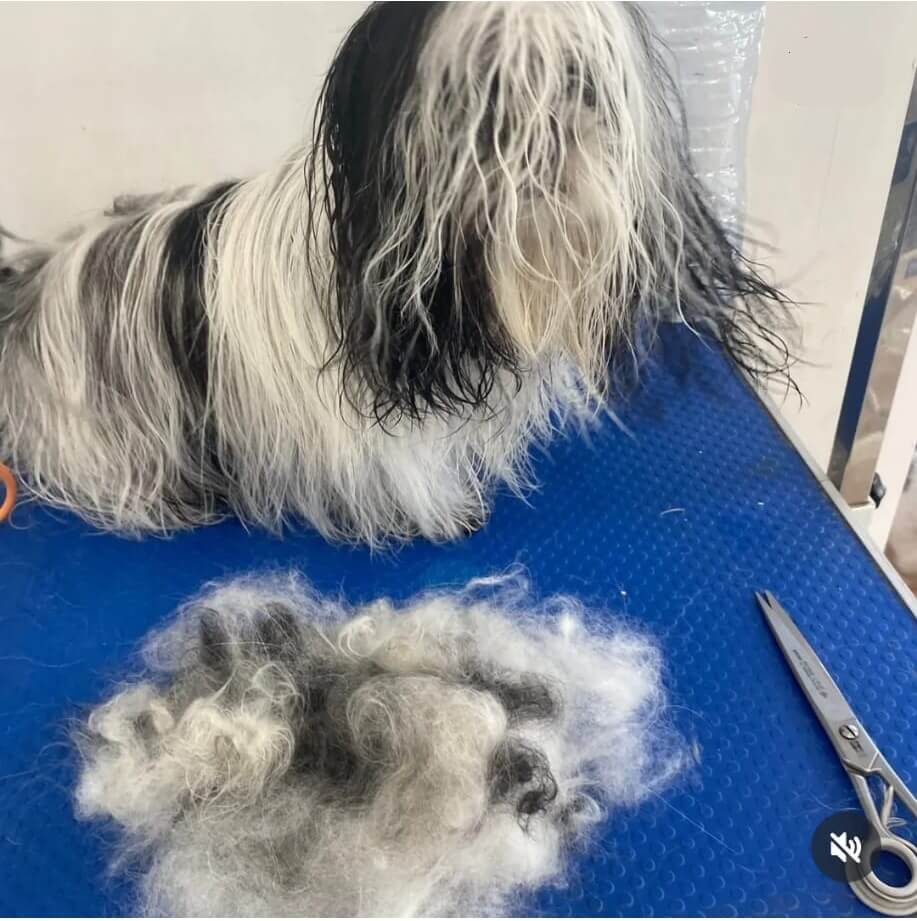 ¿Qué es stripping y&nbsp;deslanado?